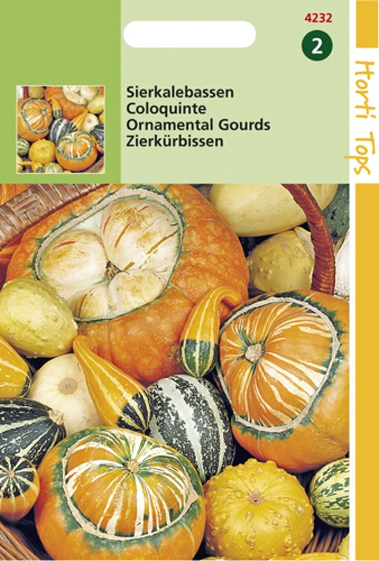 Gourds big & small fruited mix HT